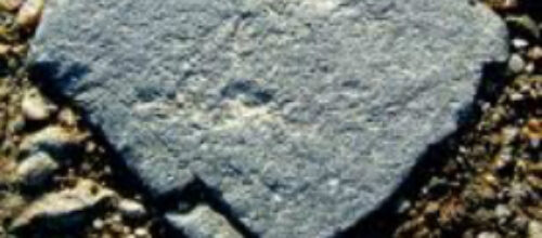 Being the Remnant Church: Take Your Stand in the Land