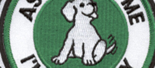 Has Our Witness Gone to the Dogs?