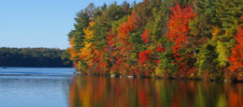 Some things change, some things never change