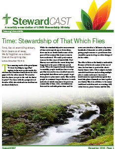 LCMS-StewardCAST-Promo-233x300