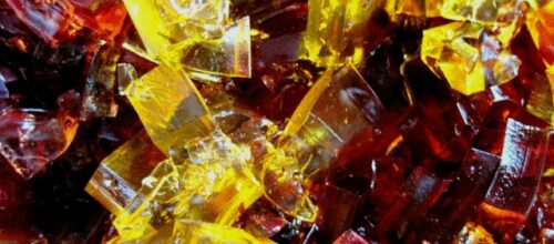 What is a “Young Adult”?