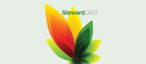 LCMS Stewardship Ministry – November 2013 newsletter