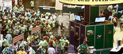 Some thoughts about Youth Polls