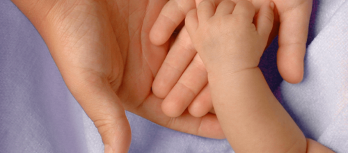 LCMS Life Ministry — Fall 2015 newsletter