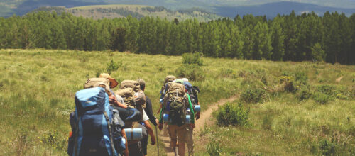 Freedom in ministry life