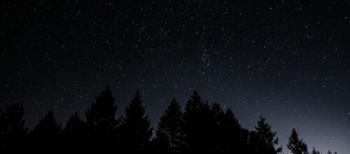 The church worker and curious living