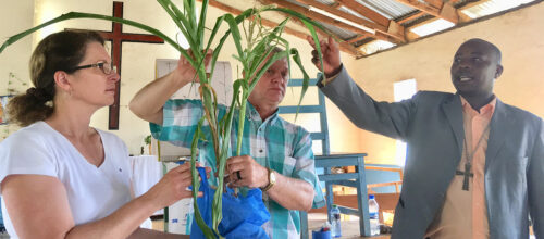 Volunteering with … Farming? Accounting? English? Yes!