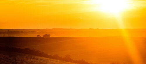 Who should I talk to?