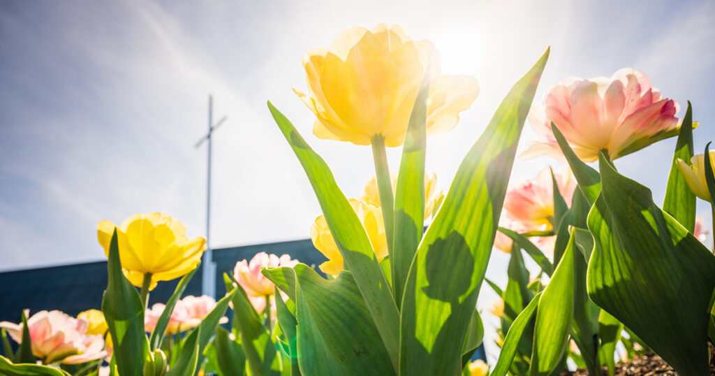 Easter video devotion