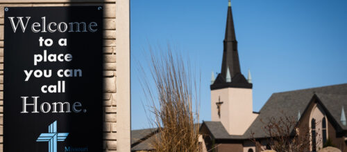 Finding our stewardship voice