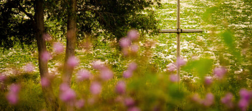 Emotions and the Church