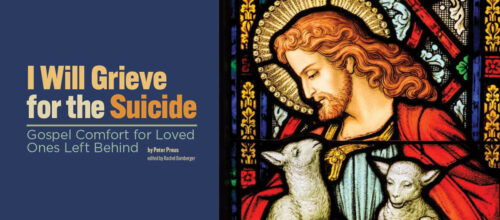 I Will Grieve for the Suicide