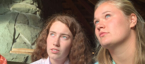 One day, four languages